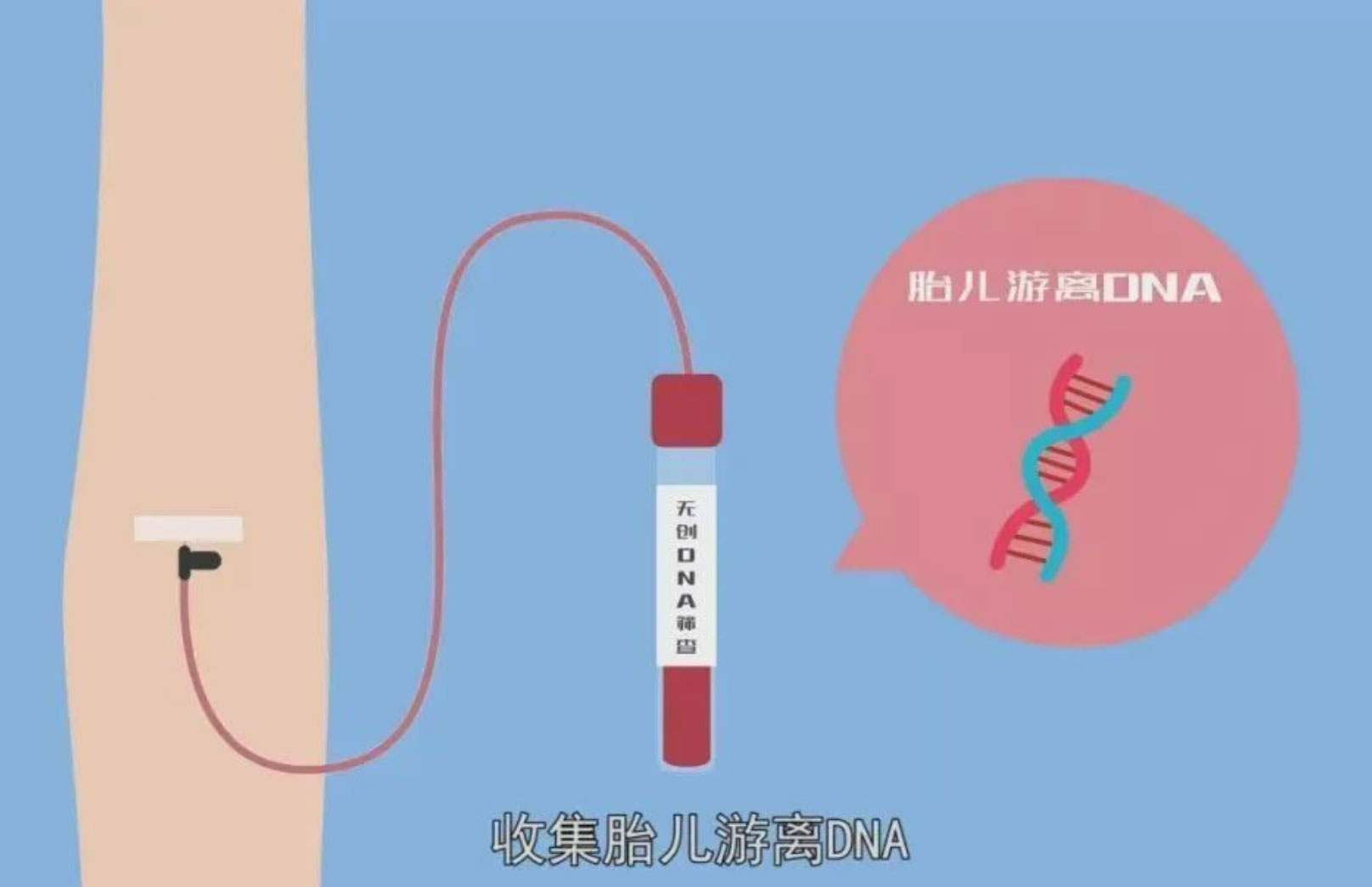 香港无创DNA检测