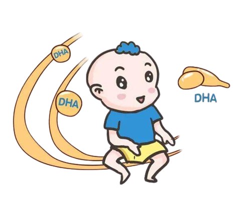 孕期需要如何补充DHA？