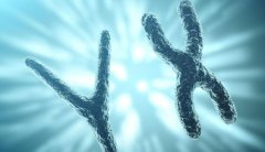 Y染色体缺失是一种遗传病，这种疾病生不了儿子